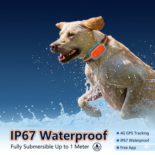 Smart GPS Pet Tracker Collar — Real-Time Location for Dogs & Cats