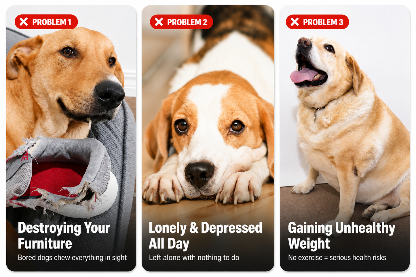 PalexThrow Pro — Smart Automatic Dog Ball Launcher for Endless Fetch Play