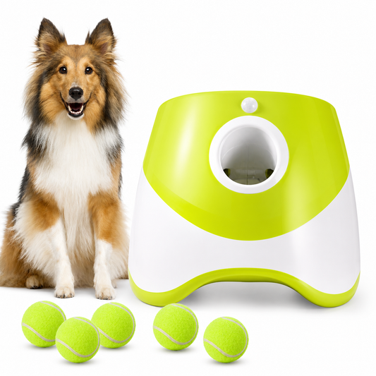 PalexThrow Pro — Smart Automatic Dog Ball Launcher for Endless Fetch Play